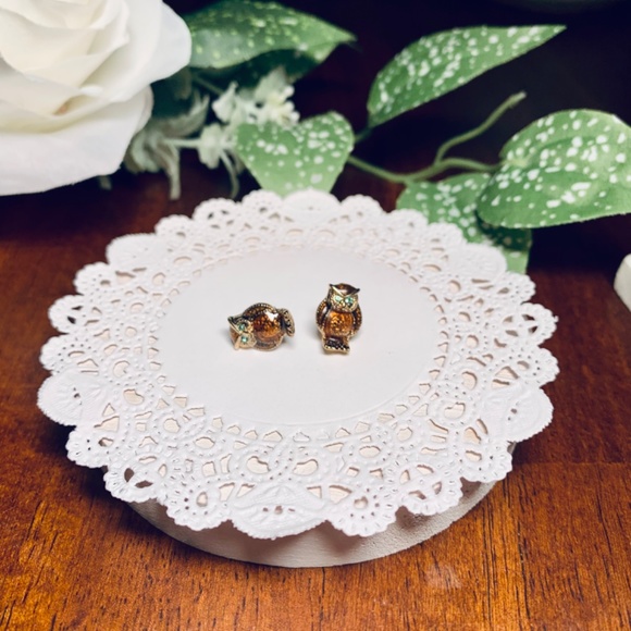 Hooting Adorable! Enamel and Crystal Owl Earrings - Picture 2 of 7